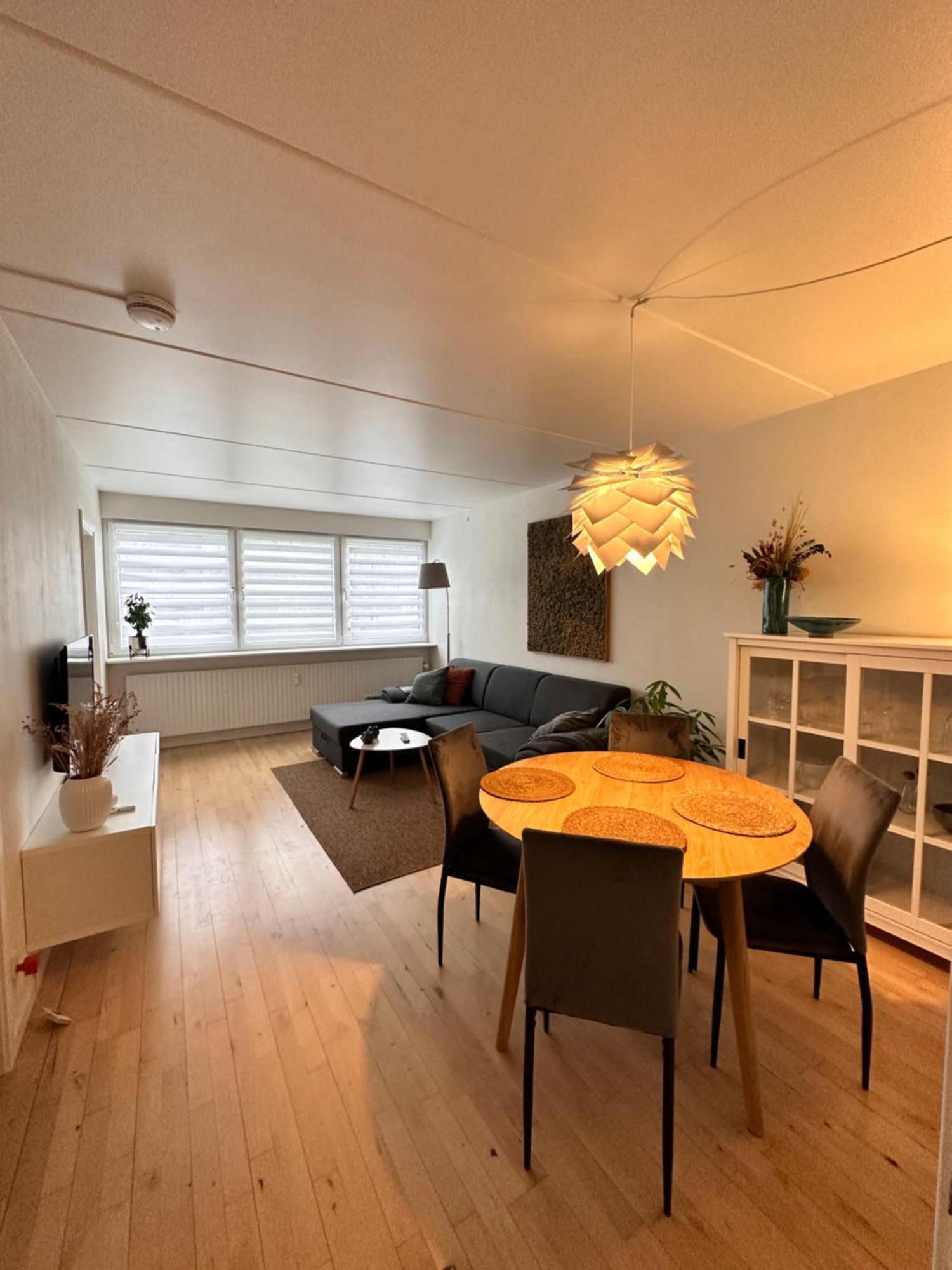 Privat One Bedroom Apartment With Free Parking Odense Extérieur photo